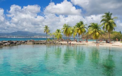 Road Trip en Martinique, quels itinéraires pour 2 jours de location de voiture ?
