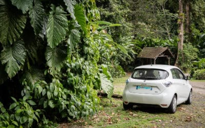 Louer une voiture hybride ou électrique en Guadeloupe