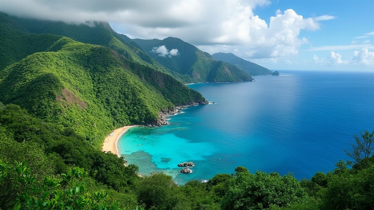 Image panoramique du Morne Larcher avec une nature verdoyante et la mer des Caraïbes